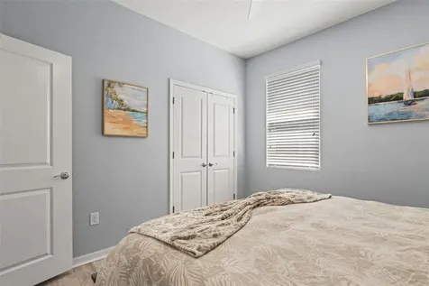 31486 Tansy Bend Wesley Chapel FL 33545