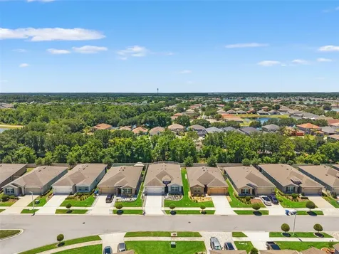 31486 Tansy Bend Wesley Chapel FL 33545