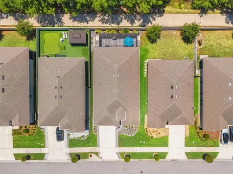 31486 Tansy Bend Wesley Chapel FL 33545