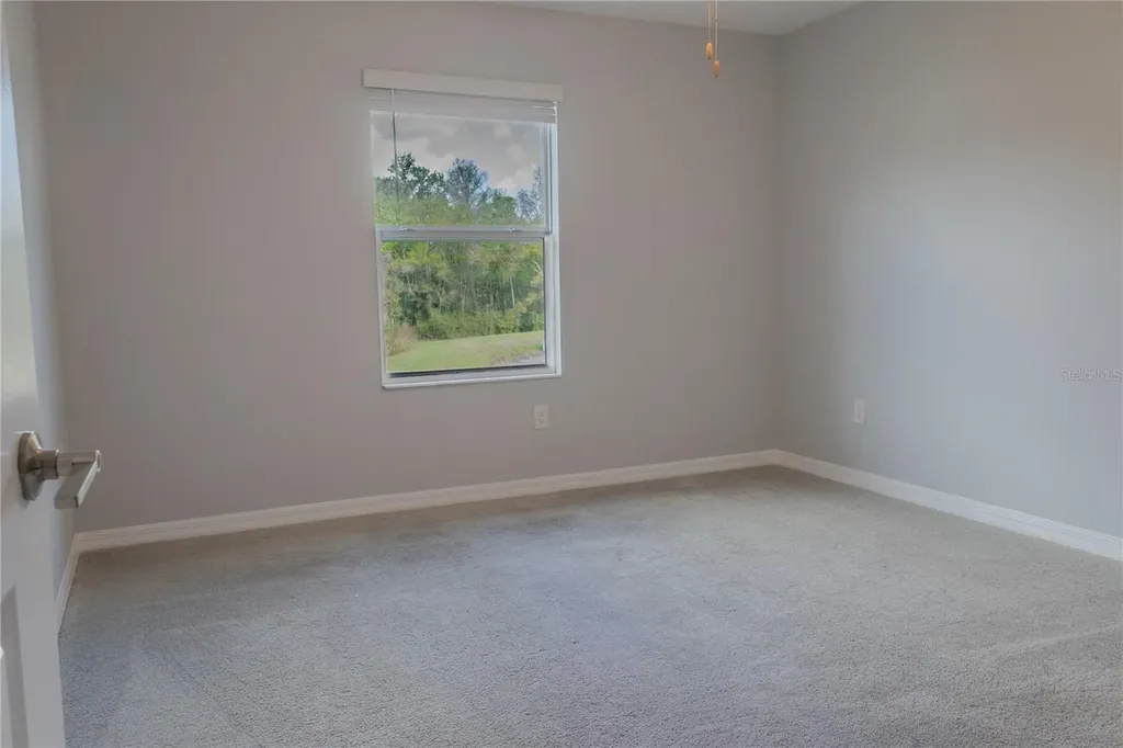 17711 Nectar Flume Drive Land O Lakes FL 34638