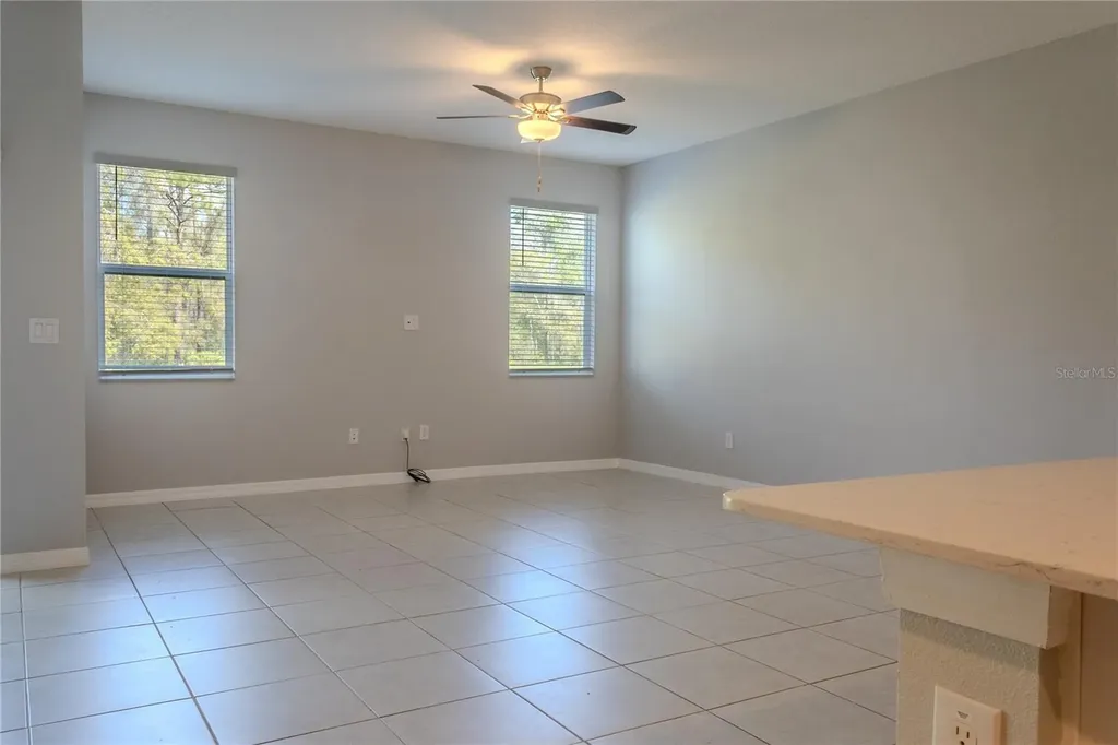 17711 Nectar Flume Drive Land O Lakes FL 34638