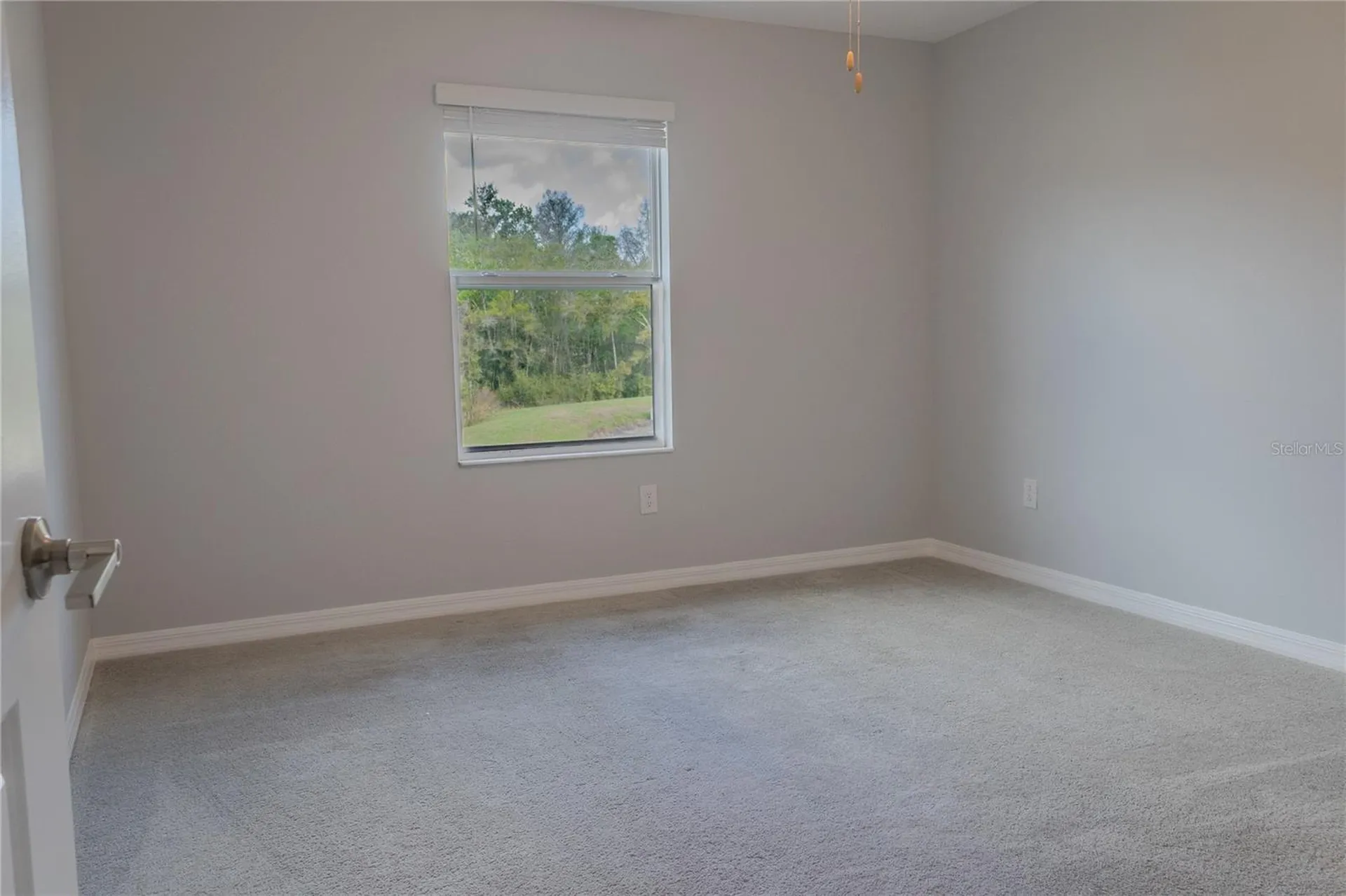 17711 Nectar Flume Drive Land O Lakes FL 34638