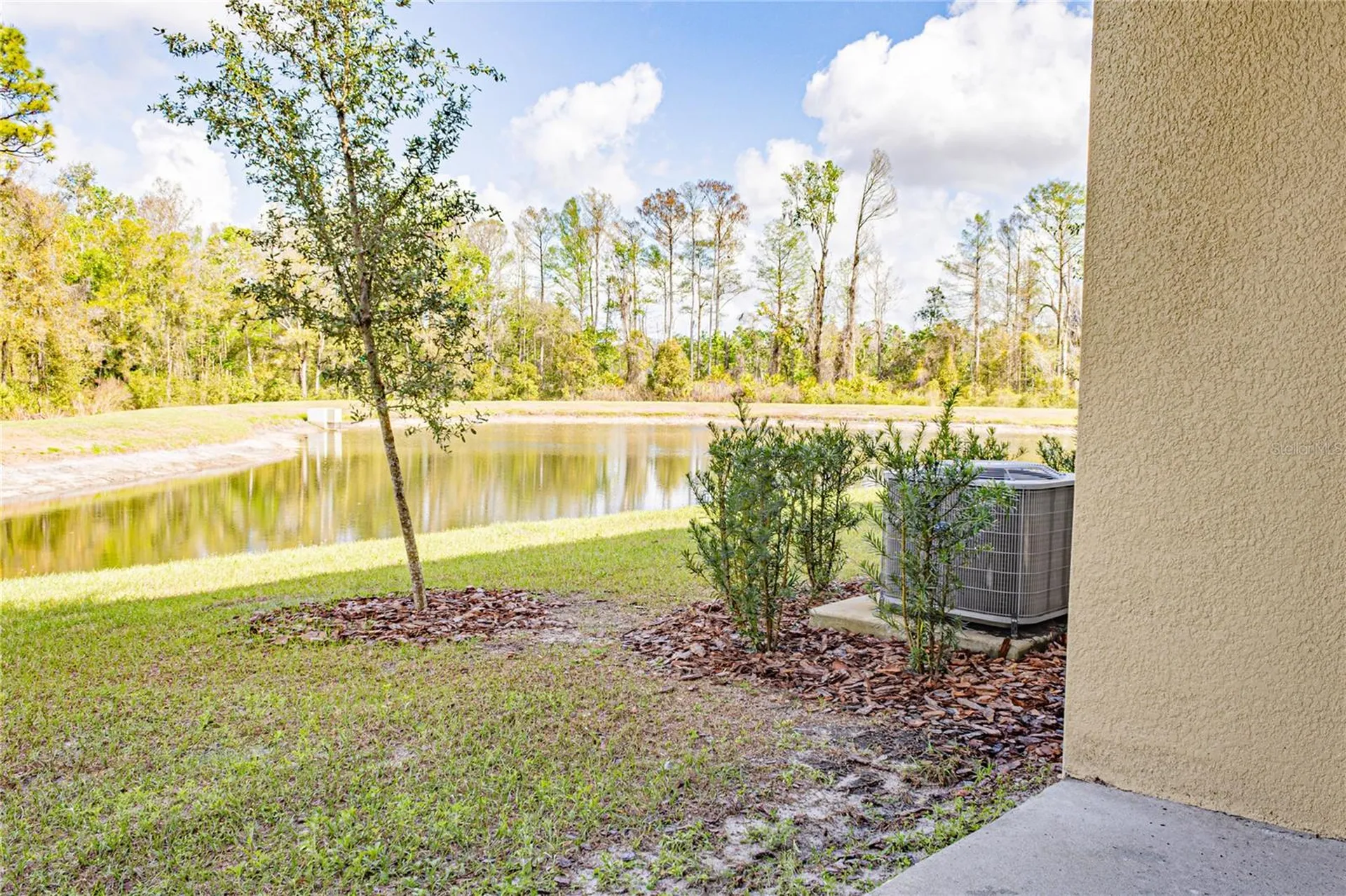 17711 Nectar Flume Drive Land O Lakes FL 34638