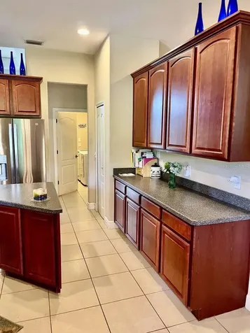 16325 Magnolia Bluff Drive Montverde FL 34756