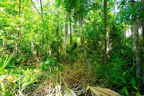 1028 Collier Boulevard St Augustine FL 32084