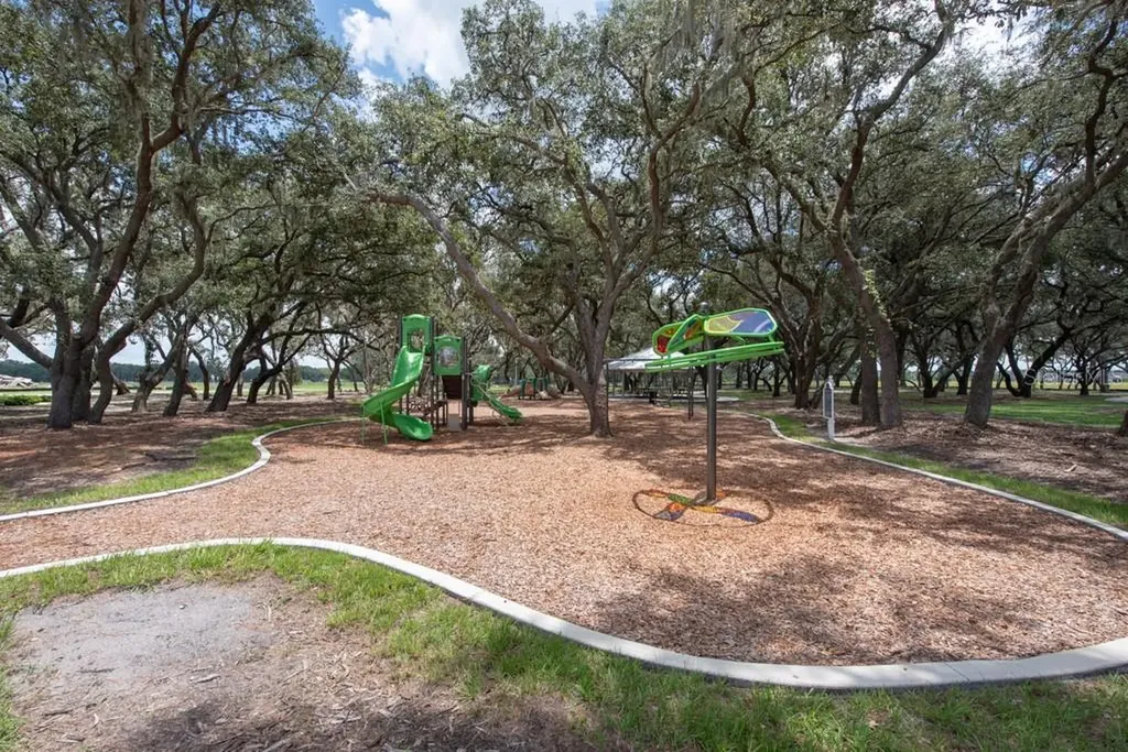13222 Orca Sound Drive Riverview FL 33579