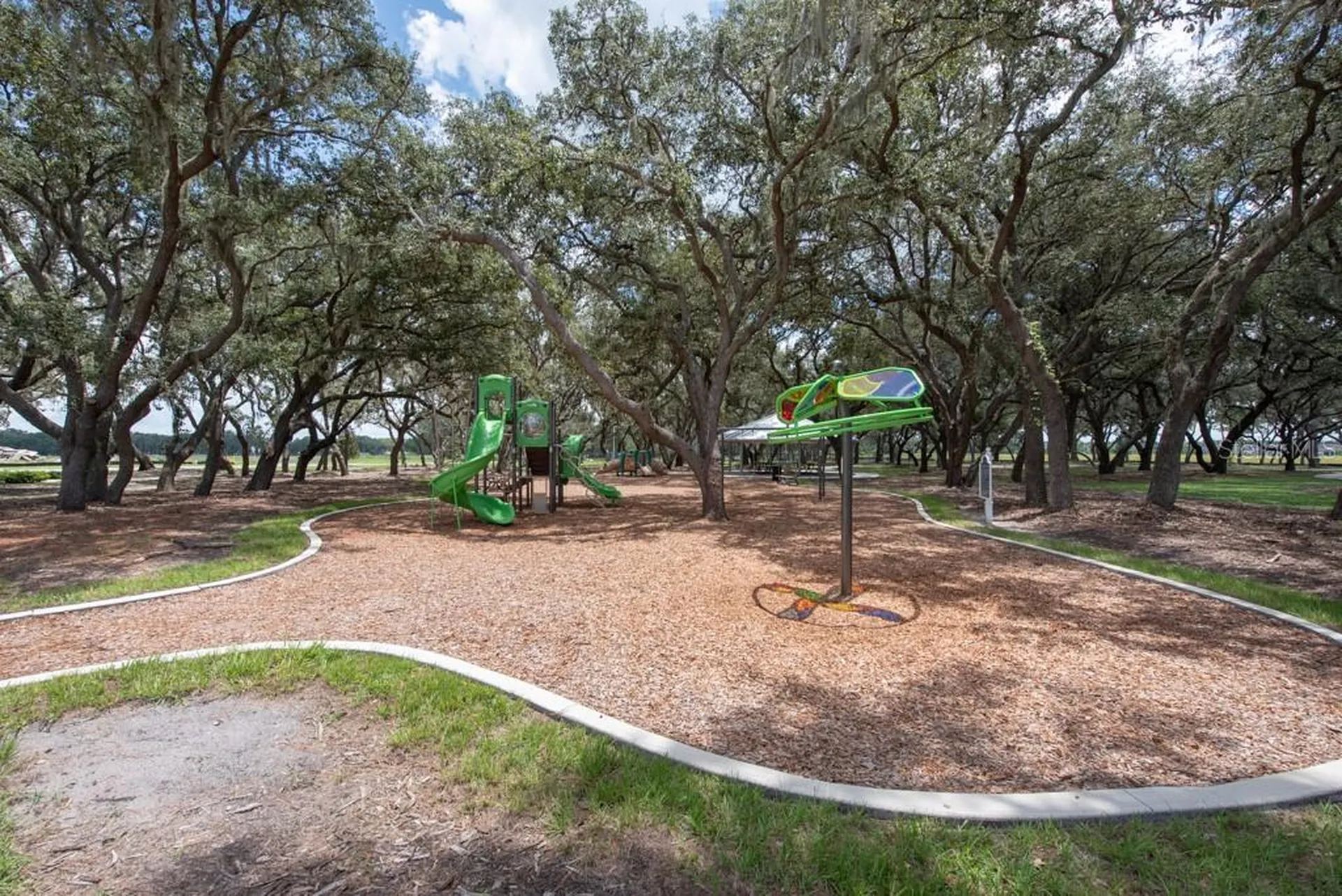 13222 Orca Sound Drive Riverview FL 33579