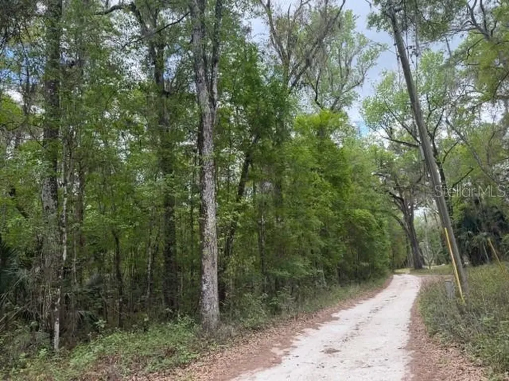 SW 75 Street Archer FL 32618
