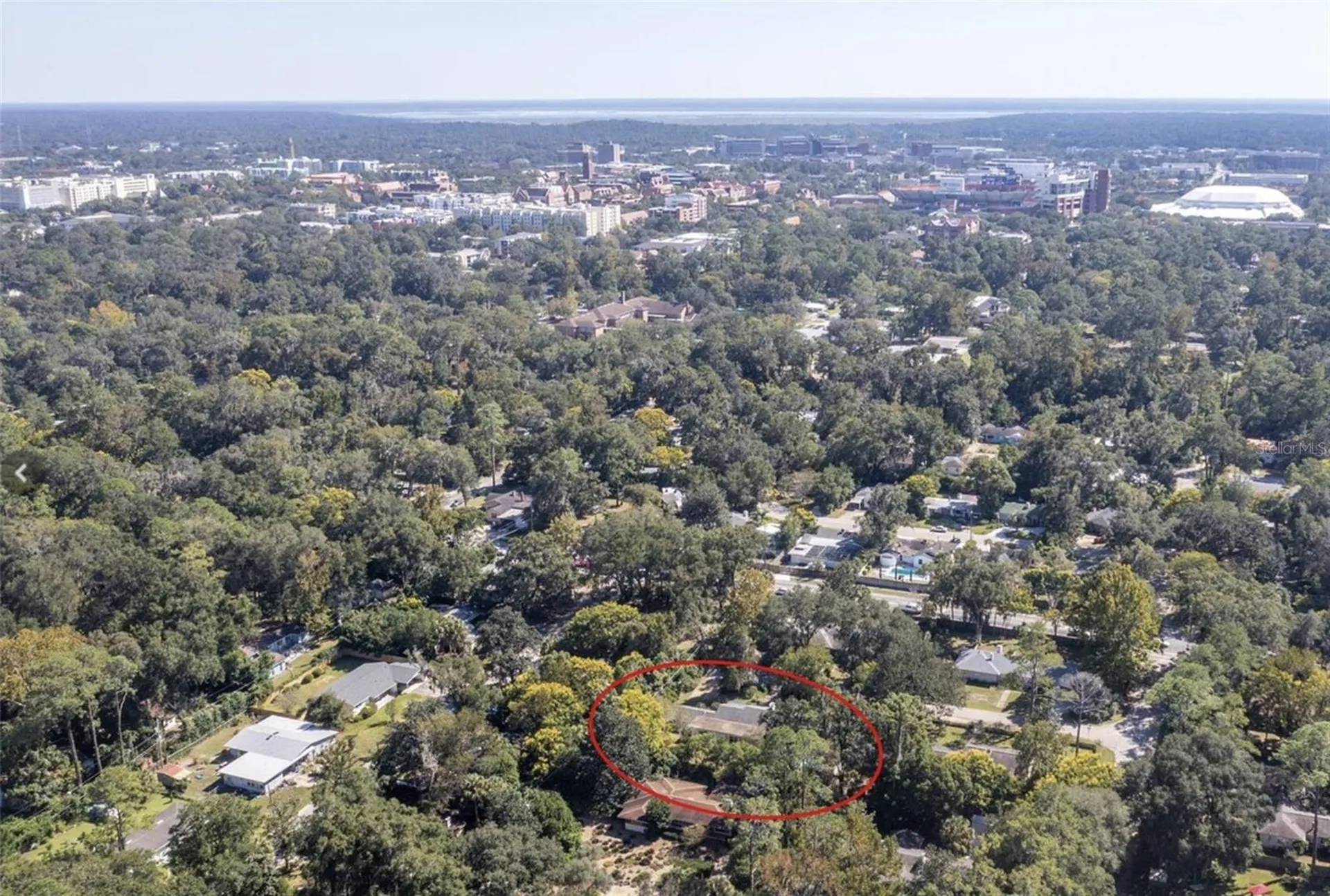 2034 NW 8th Place Gainesville FL 32603
