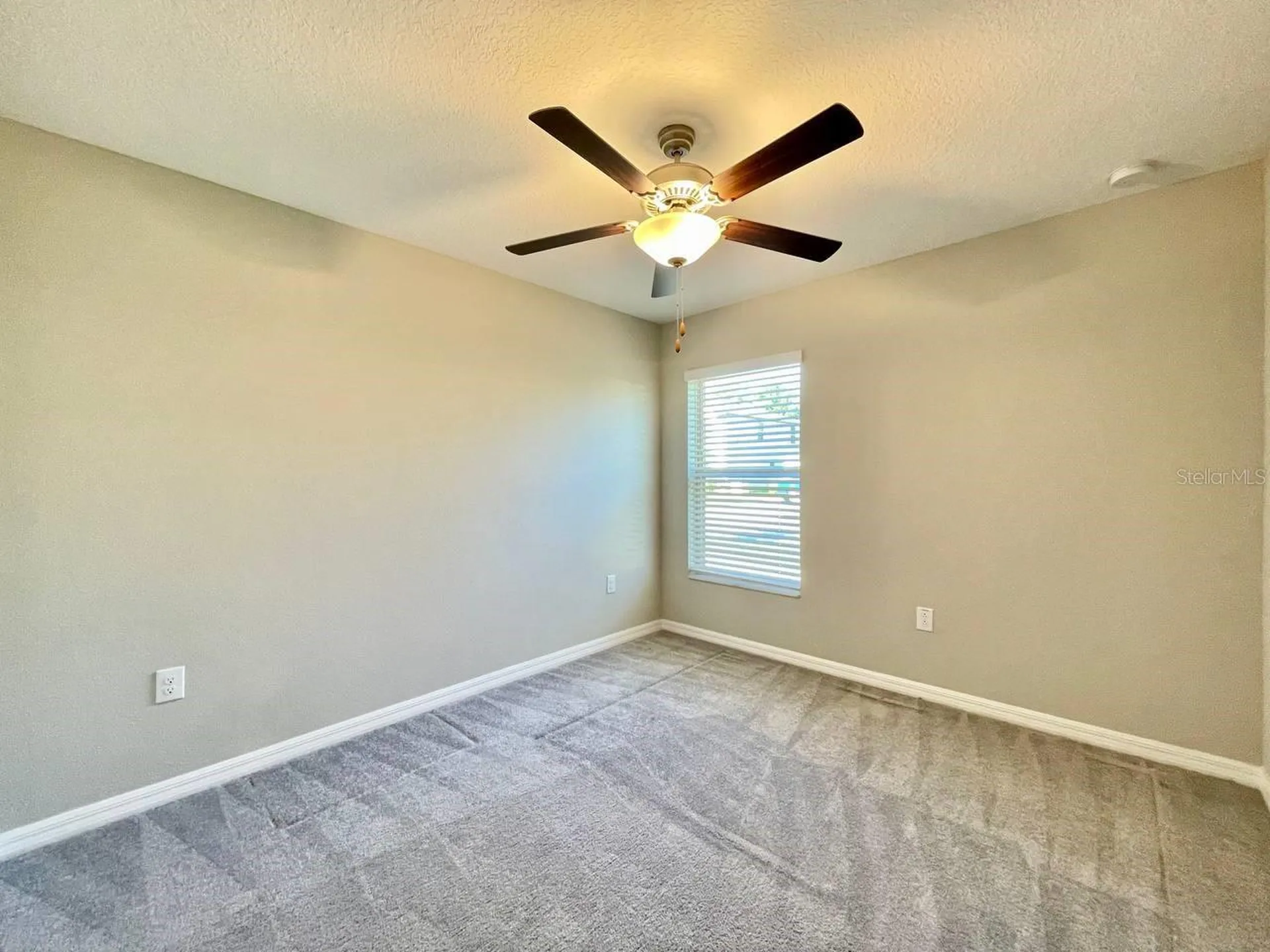 12964 Wildflower Meadow Drive Riverview FL 33579