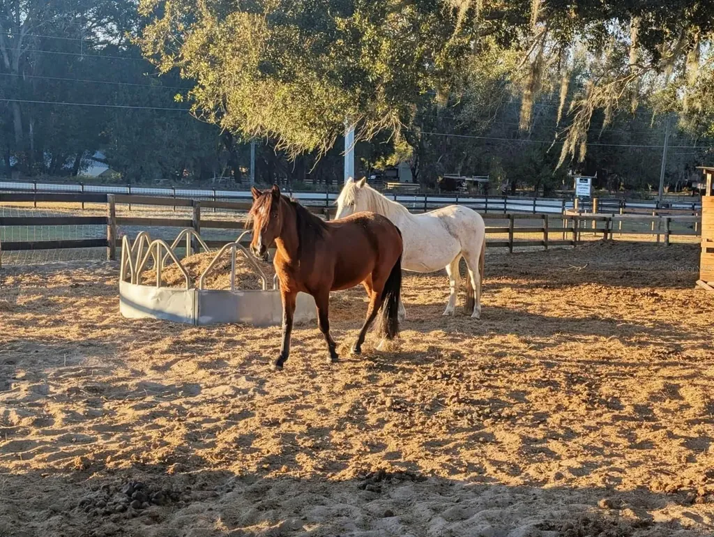 15243 S Highway 25 Weirsdale FL 32195