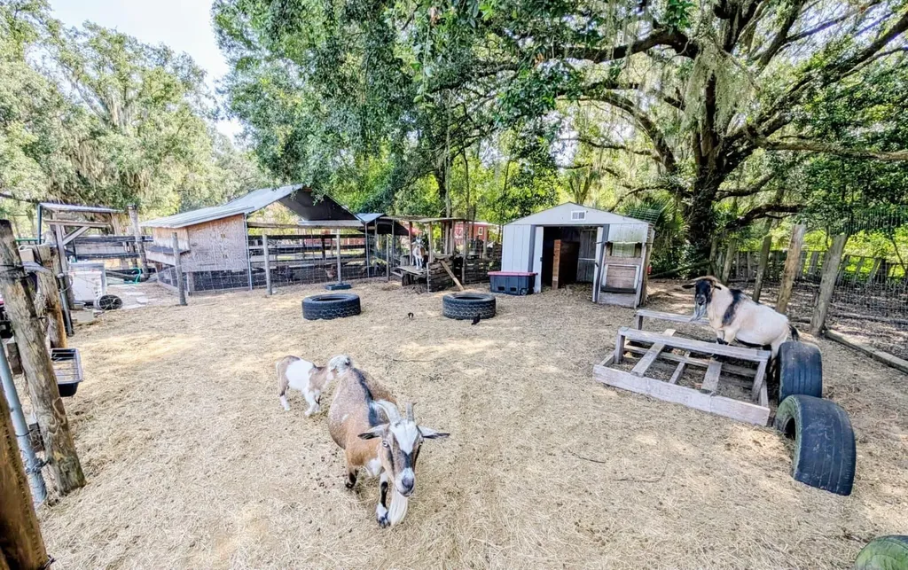 15243 S Highway 25 Weirsdale FL 32195