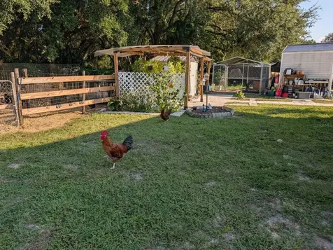 15243 S Highway 25 Weirsdale FL 32195