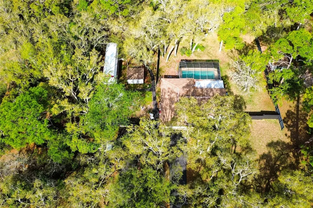 3201 Bartlett Street Spring Hill FL 34606