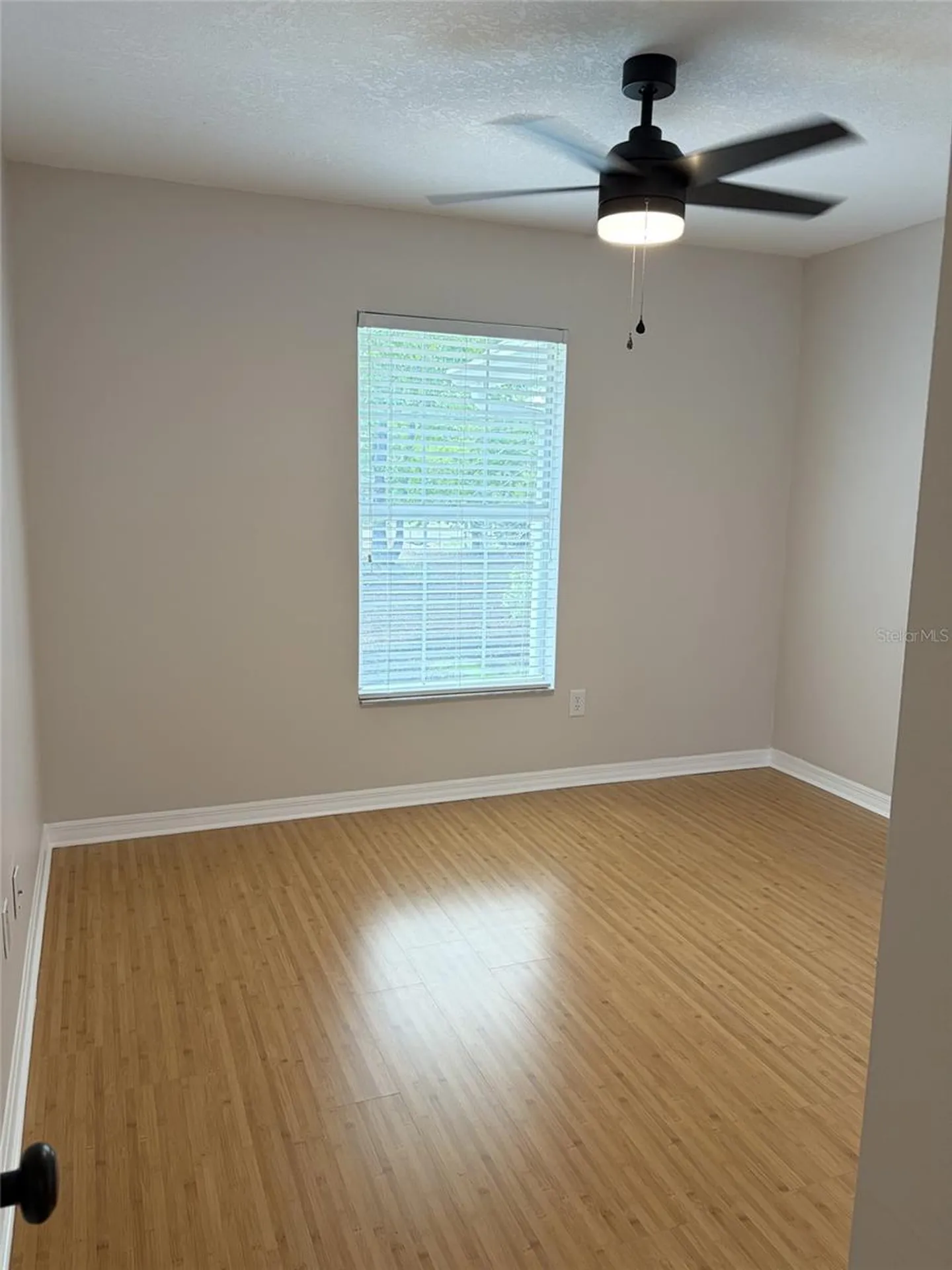 3156 Valley Oaks Drive Tampa FL 33618