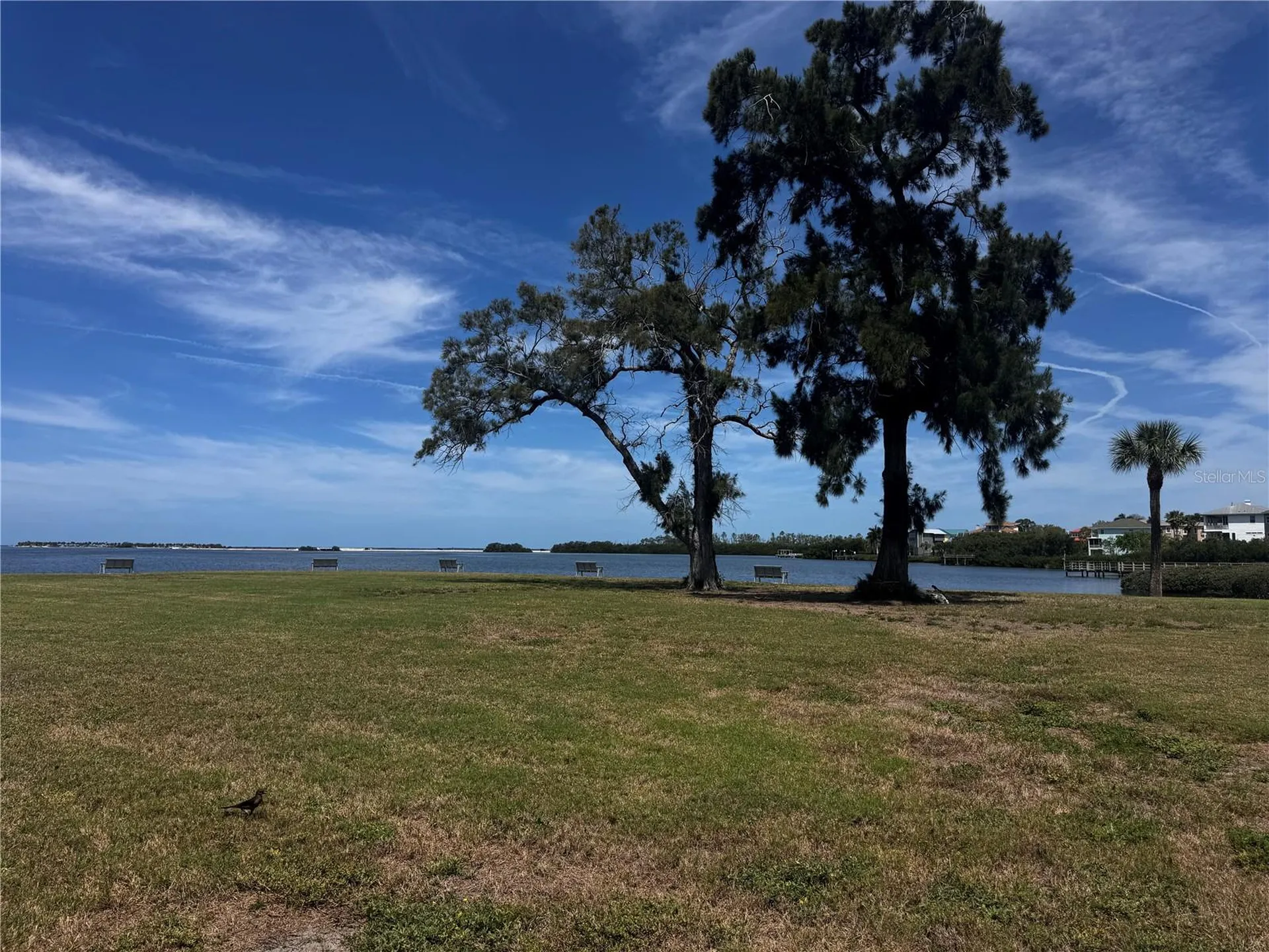 654 Windrush Bay Drive Tarpon Springs FL 34689