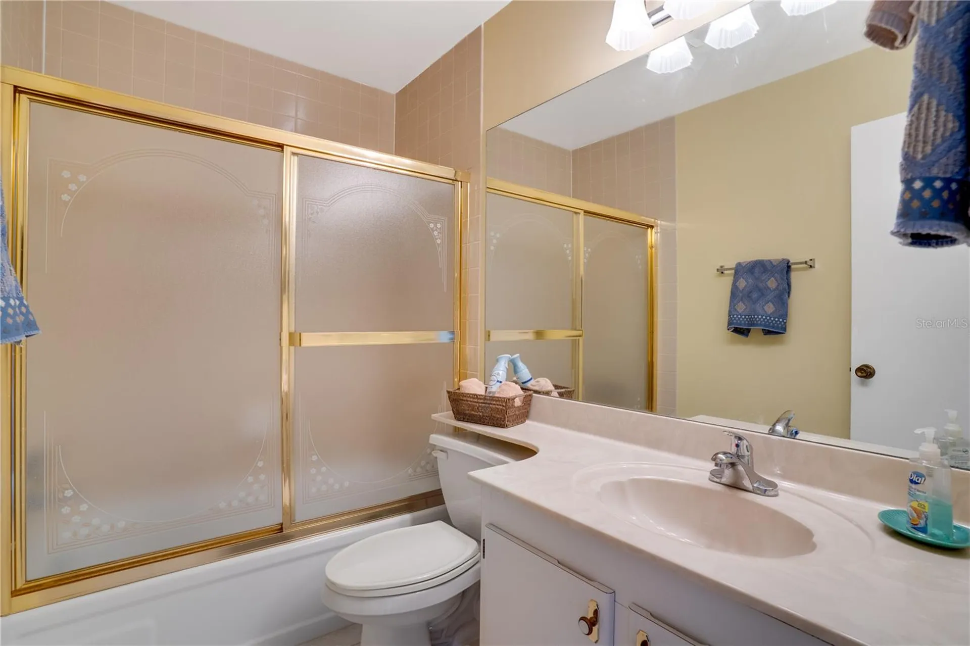 656 Windrush Bay Drive Tarpon Springs FL 34689