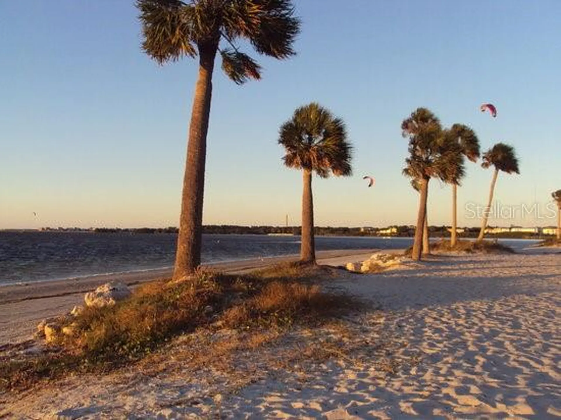 656 Windrush Bay Drive Tarpon Springs FL 34689