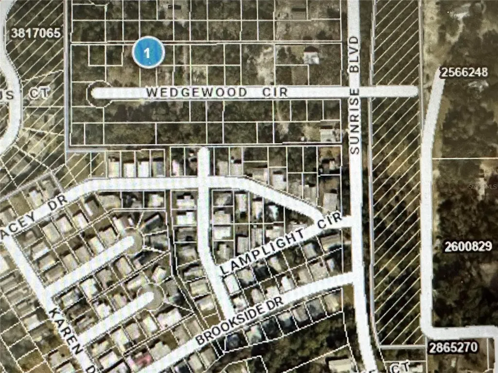 Lot 261 Brookside Circle Mount Dora FL 32757
