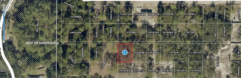 Lot 261 Brookside Circle Mount Dora FL 32757