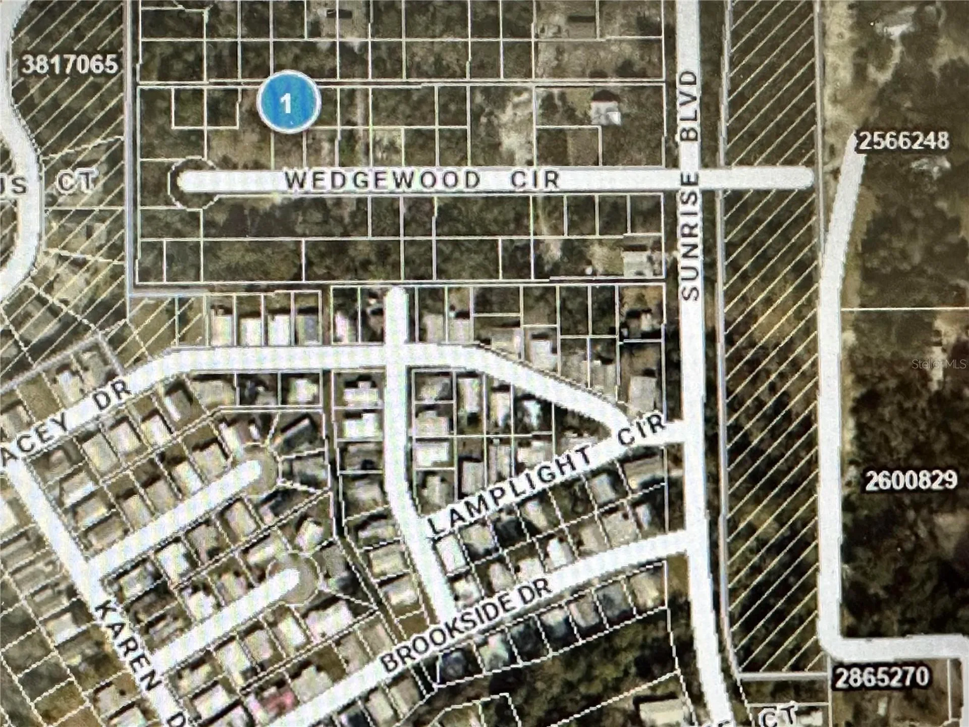 Lot 261 Brookside Circle Mount Dora FL 32757