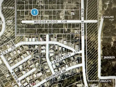 Lot 261 Brookside Circle Mount Dora FL 32757