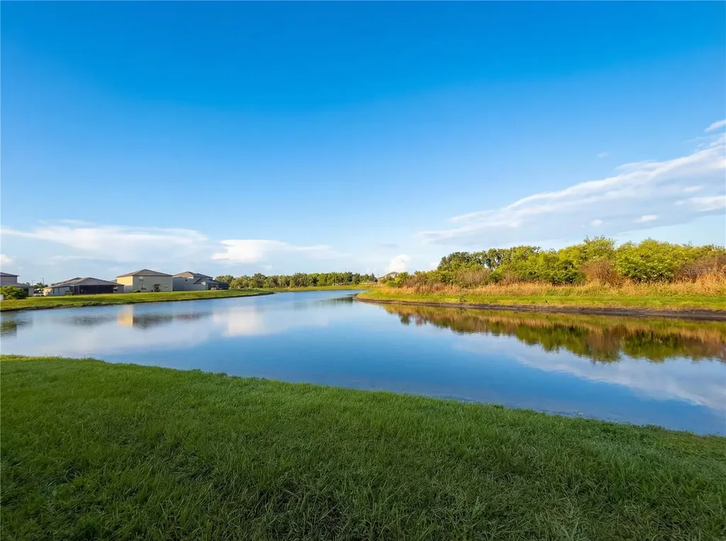 11849 Blackeyed Susan Drive Riverview FL 33579