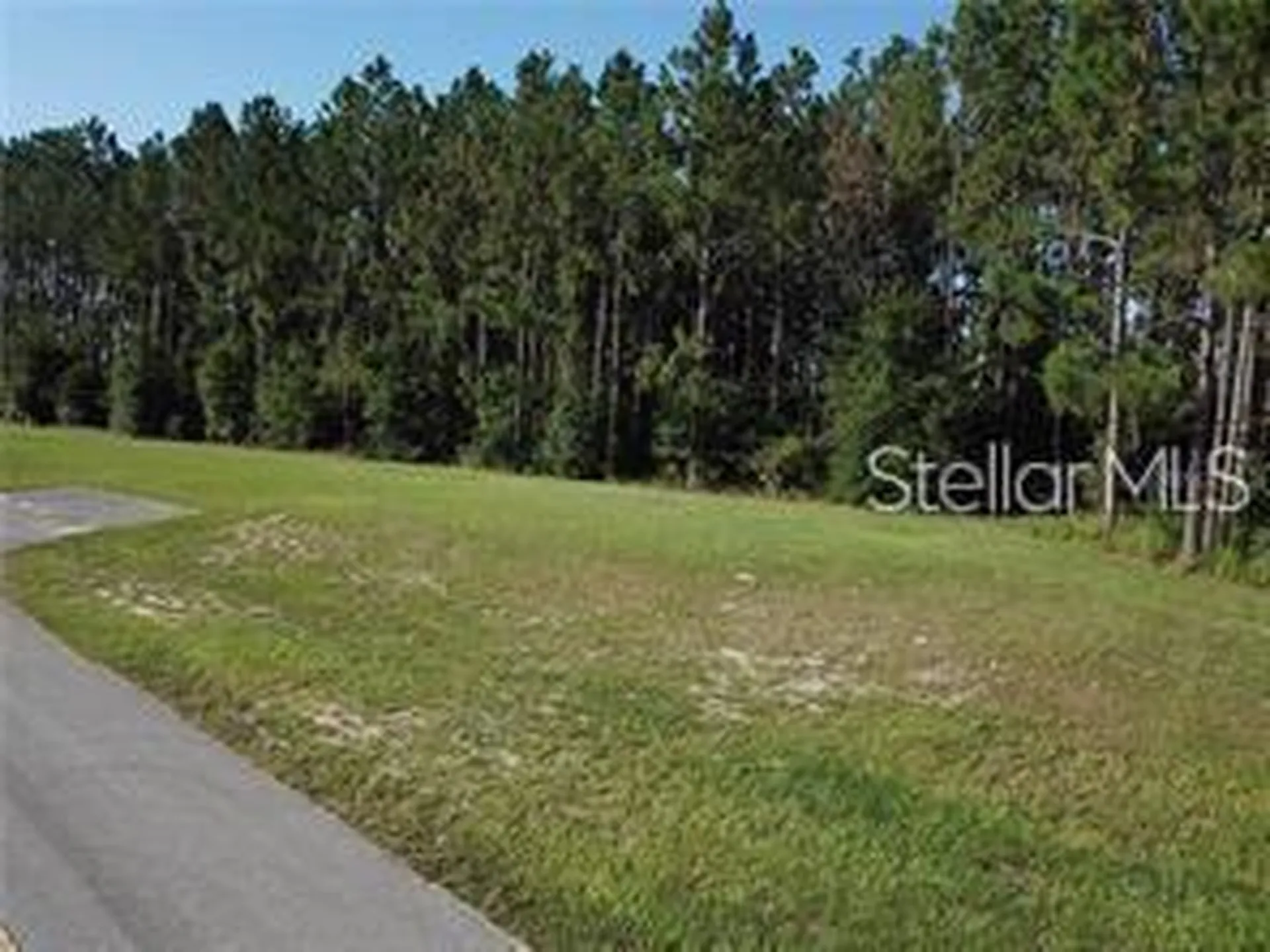Lake Smith Road Umatilla FL 32784
