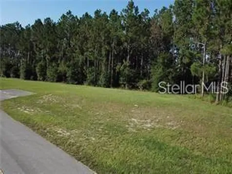 Lake Smith Road Umatilla FL 32784