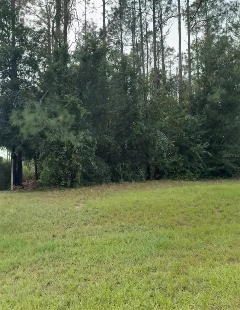 Lake Smith Road Umatilla FL 32784