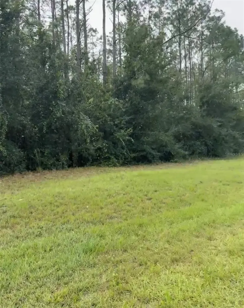 Lake Smith Road Umatilla FL 32784