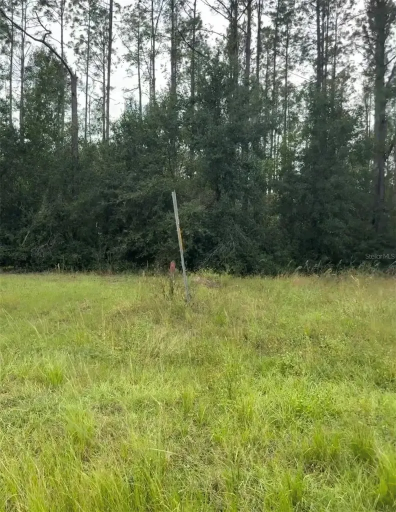 Lake Smith Road Umatilla FL 32784