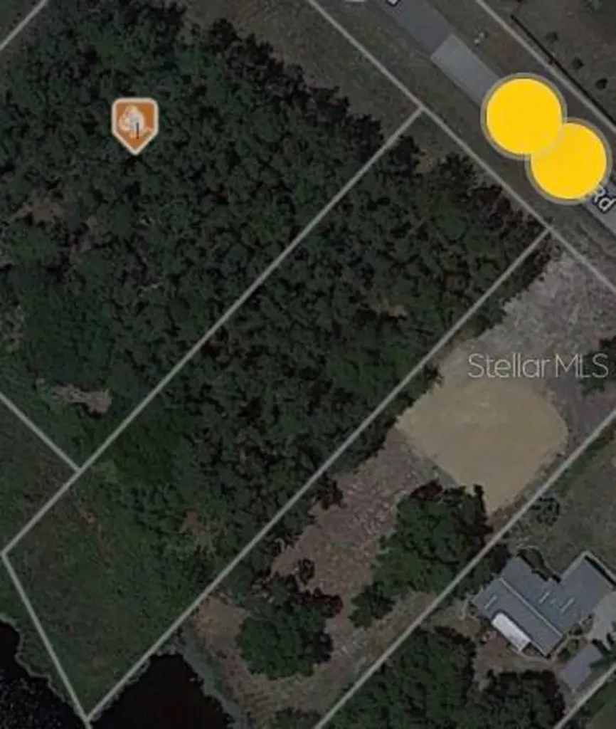 Lake Smith Road Umatilla FL 32784