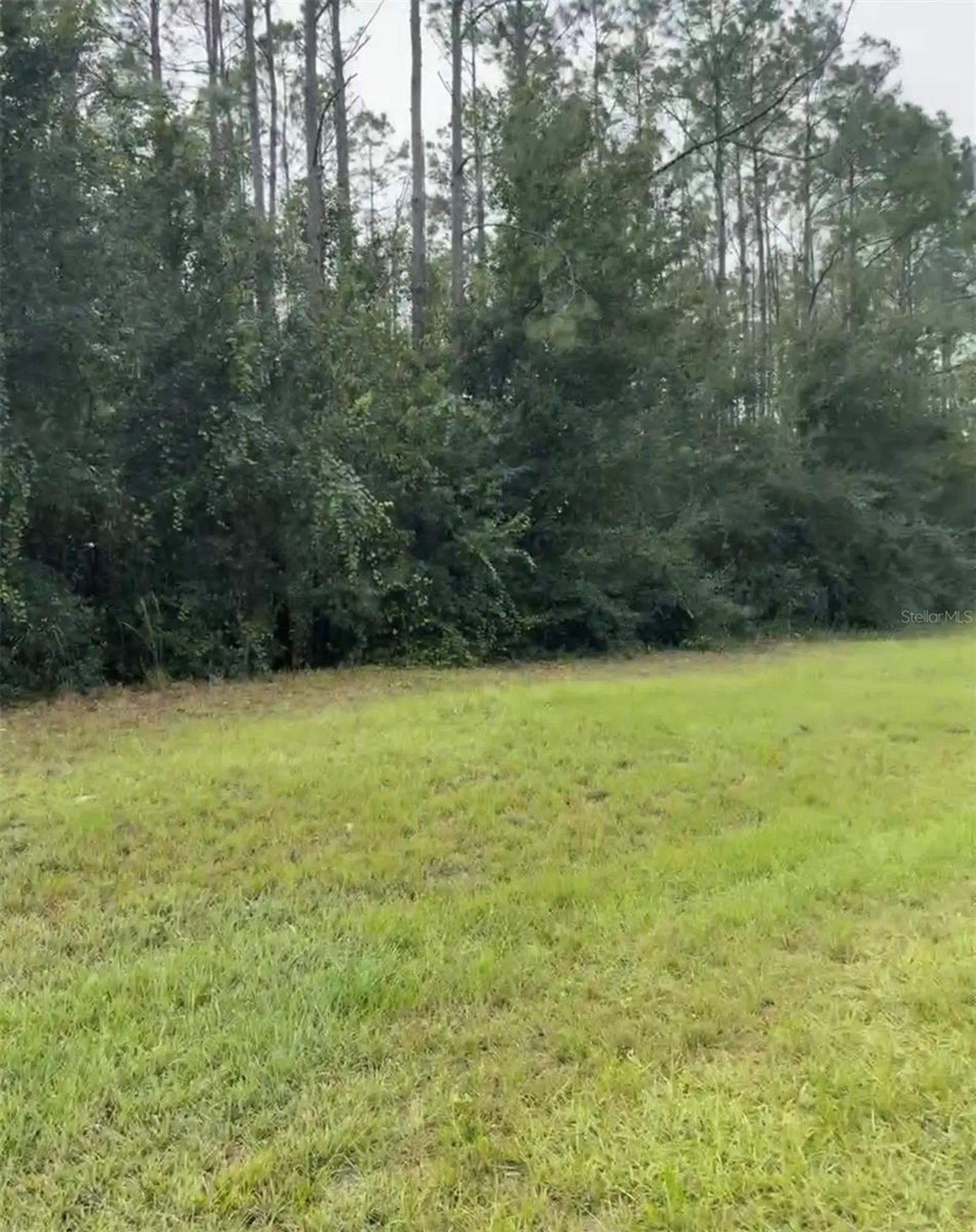 Lake Smith Road Umatilla FL 32784