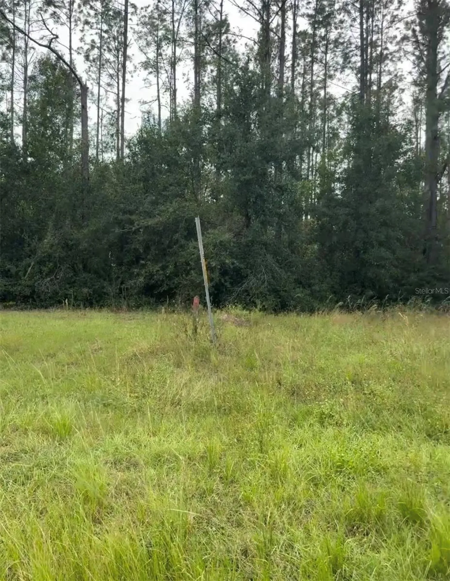 Lake Smith Road Umatilla FL 32784