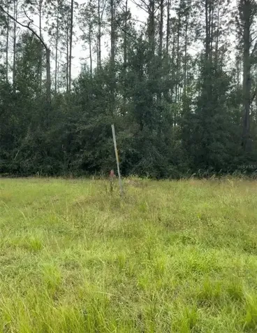 Lake Smith Road Umatilla FL 32784