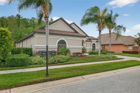 1607 Abyss Drive Odessa FL 33556