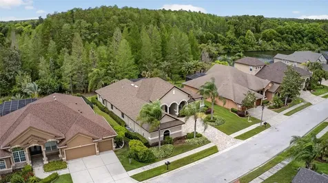 1607 Abyss Drive Odessa FL 33556