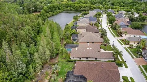 1607 Abyss Drive Odessa FL 33556