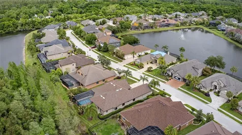 1607 Abyss Drive Odessa FL 33556