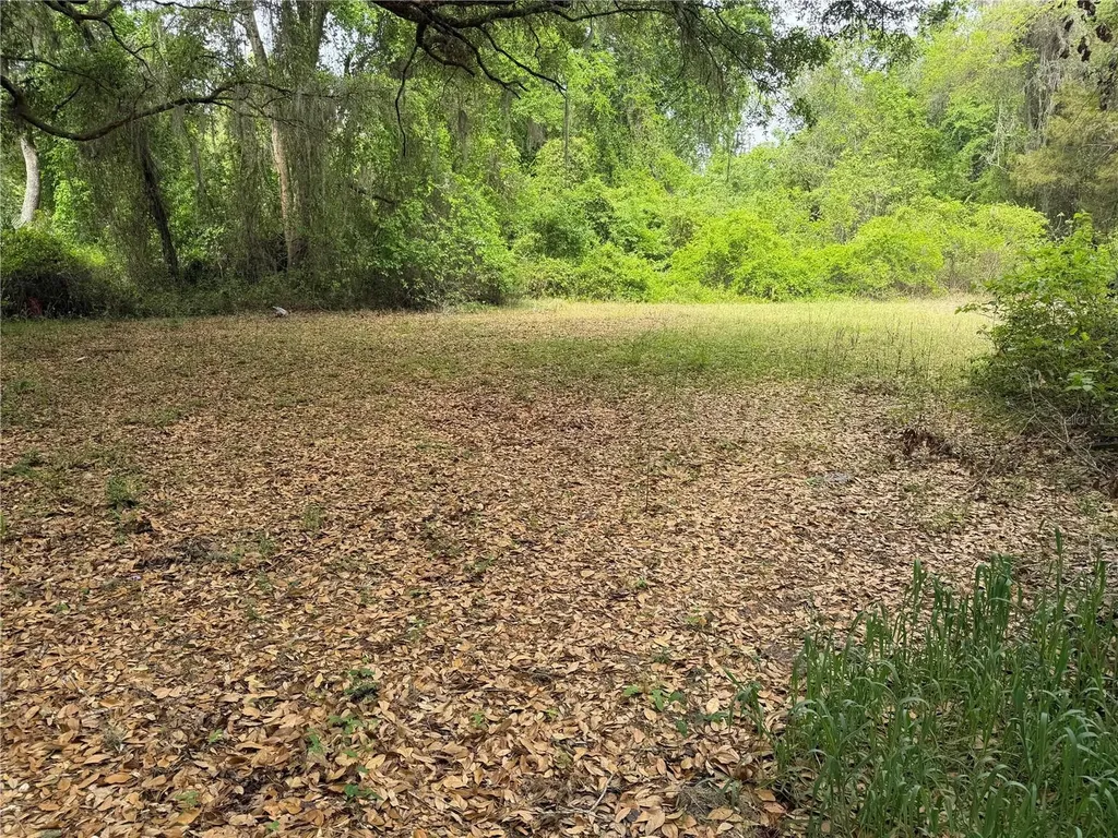 7526 NE 221st Street Melrose FL 32666