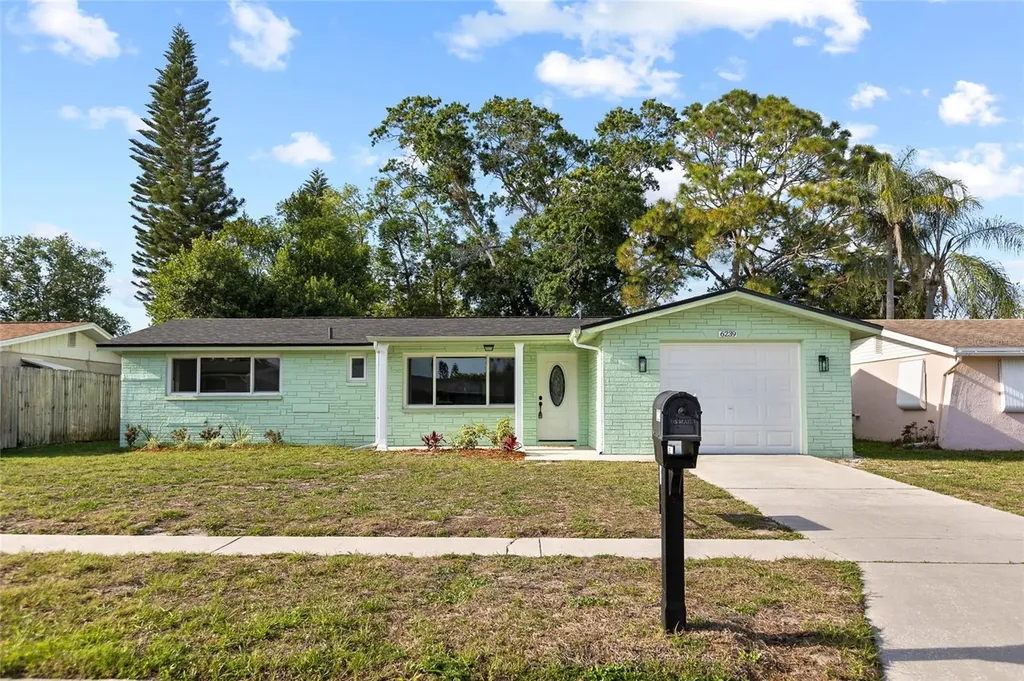 6239 7th Avenue New Port Richey FL 34653