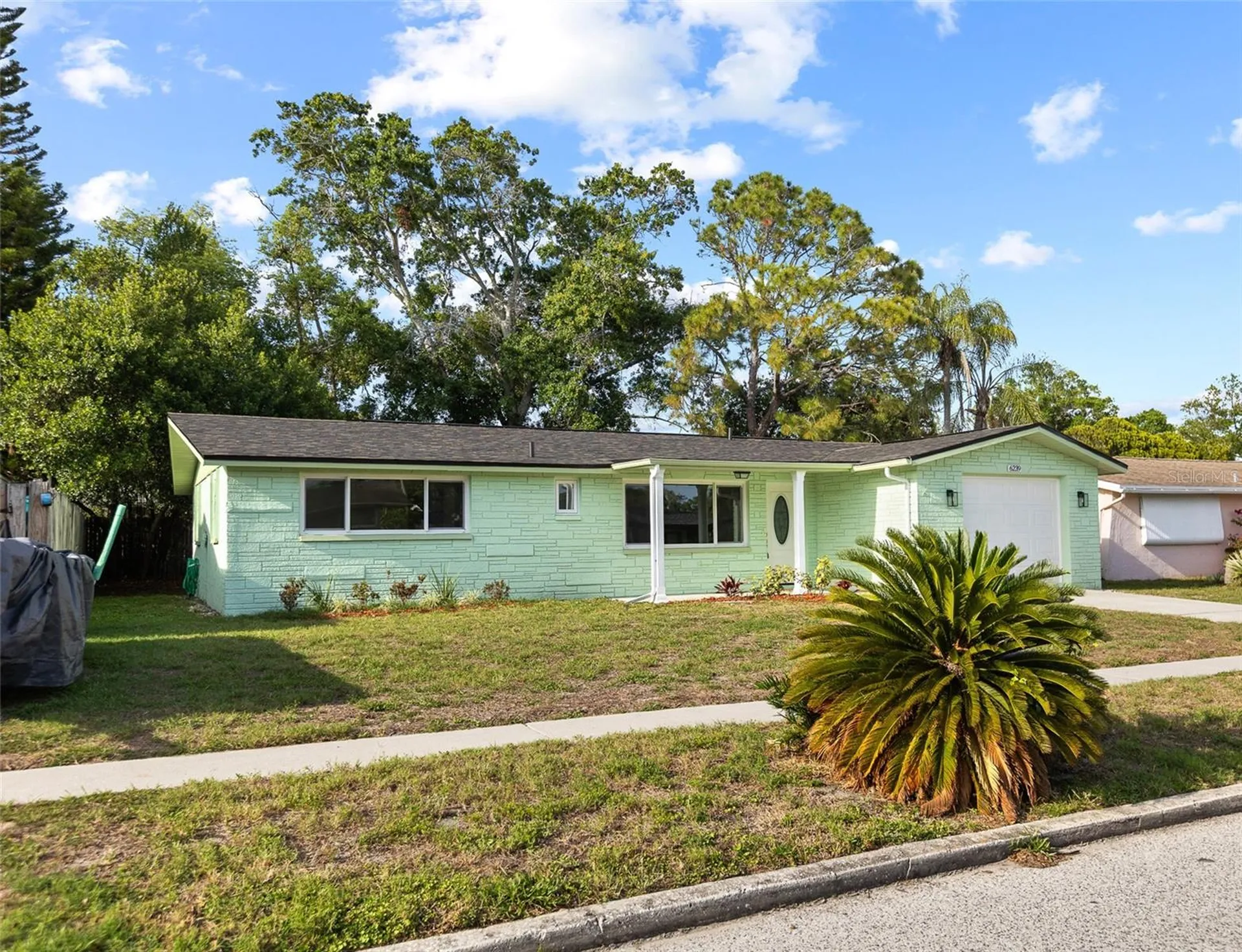 6239 7th Avenue New Port Richey FL 34653