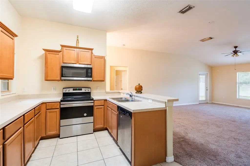 8117 Alamosa Wood Avenue Ruskin FL 33573