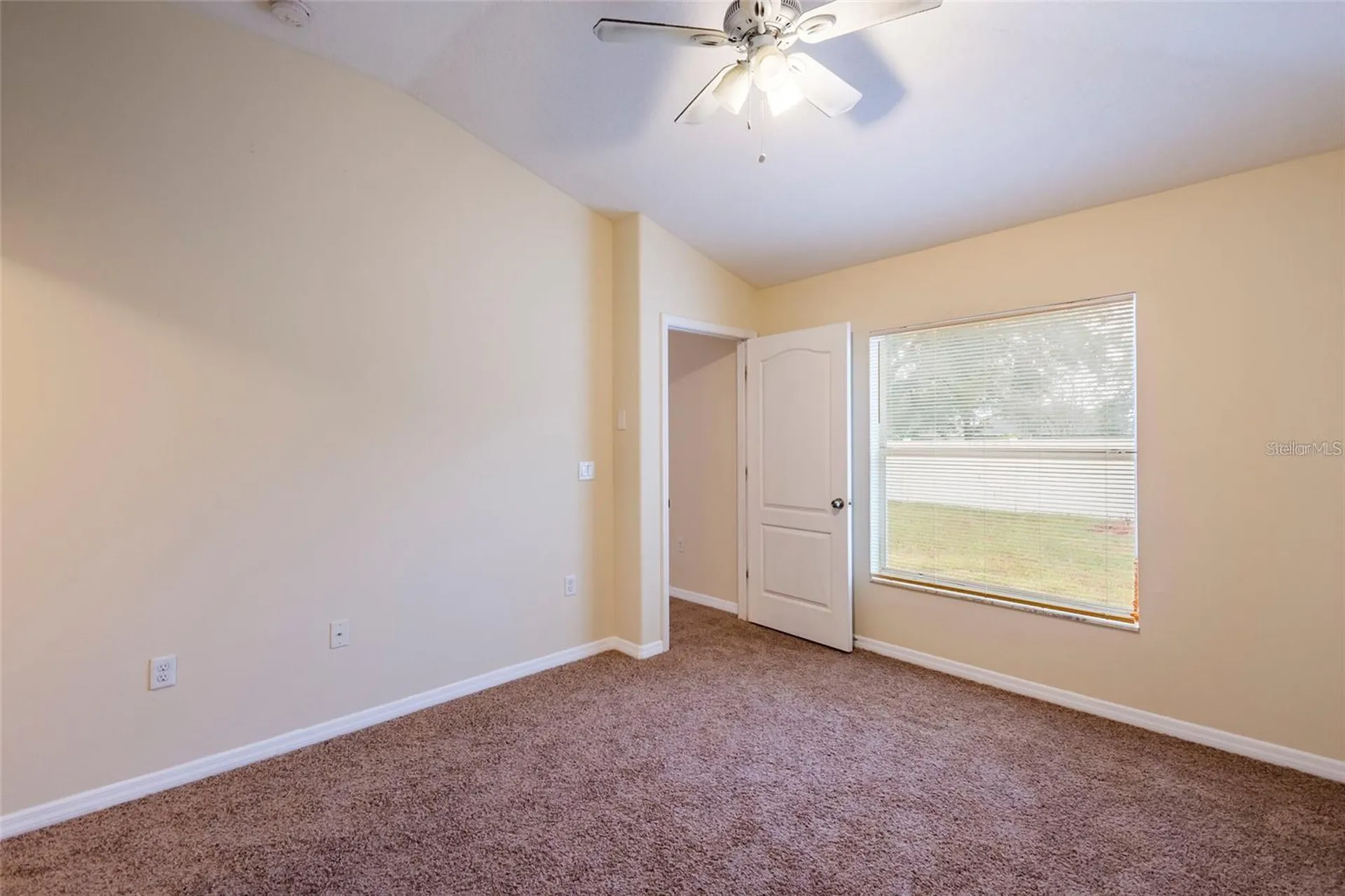 8117 Alamosa Wood Avenue Ruskin FL 33573