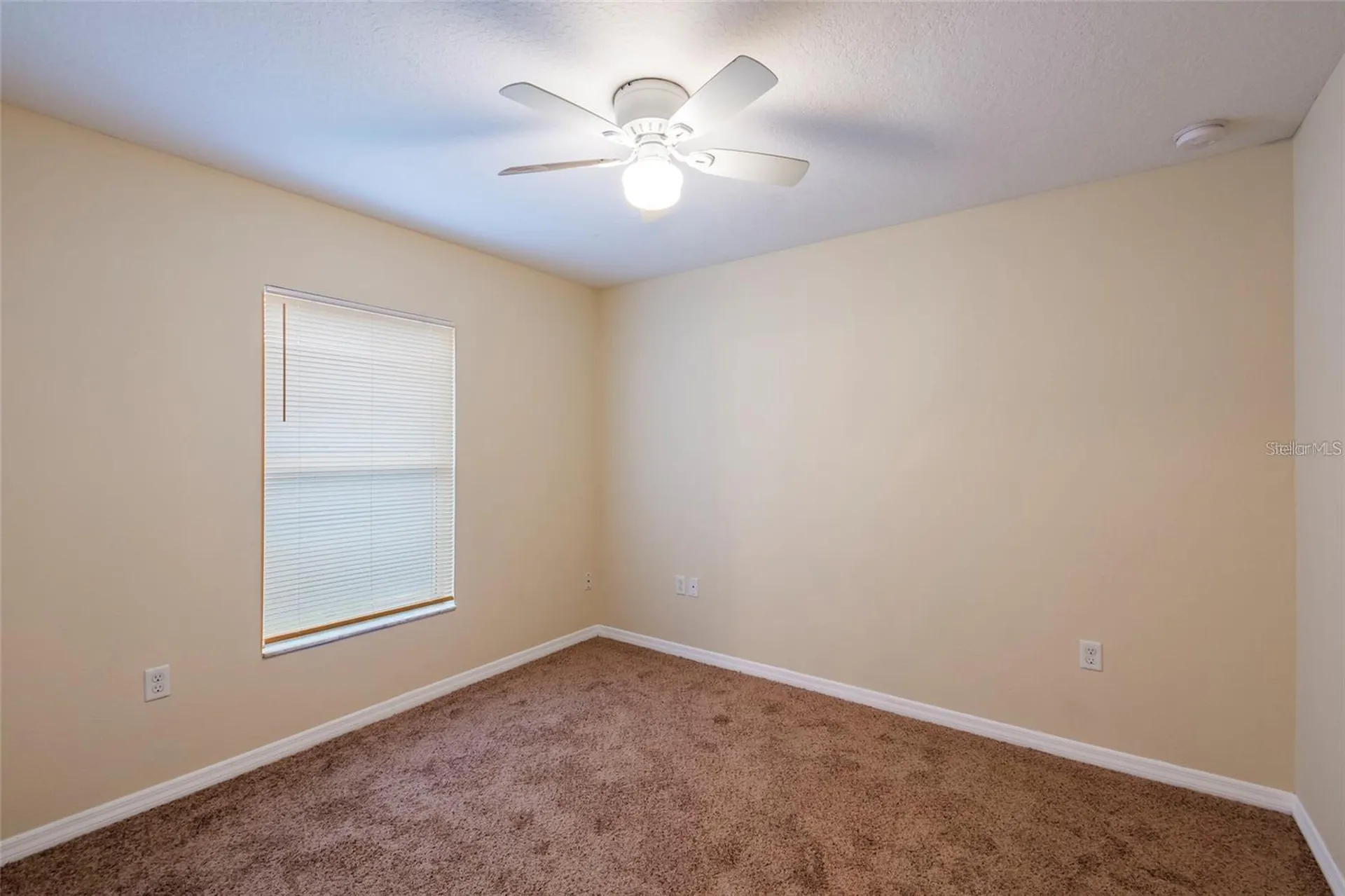 8117 Alamosa Wood Avenue Ruskin FL 33573