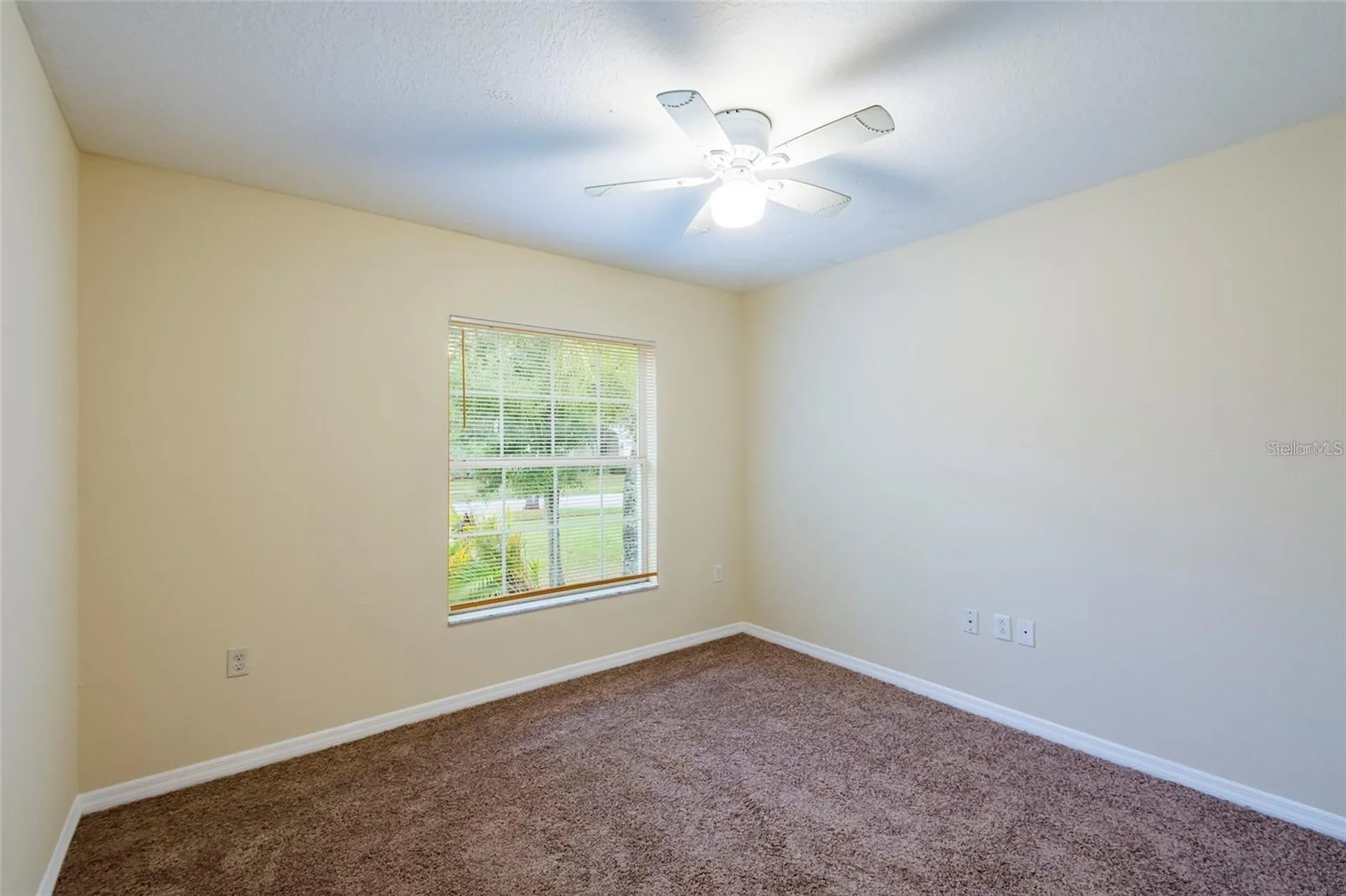 8117 Alamosa Wood Avenue Ruskin FL 33573