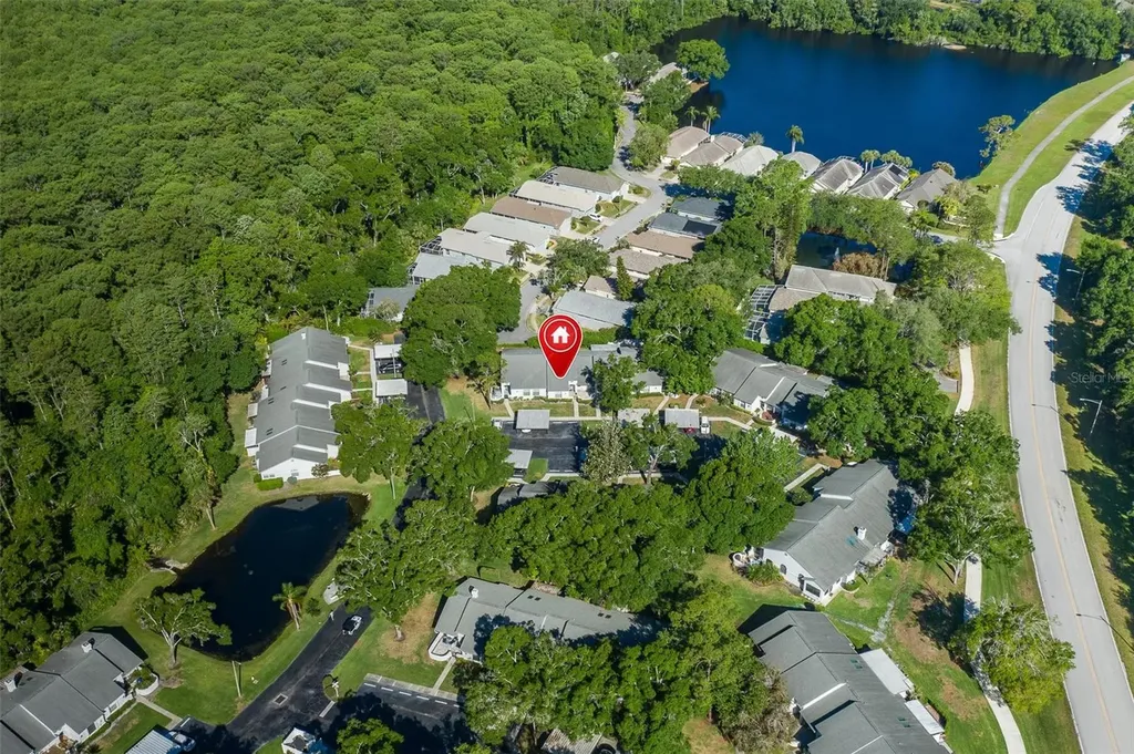 3843 Goldfinch Court Palm Harbor FL 34685
