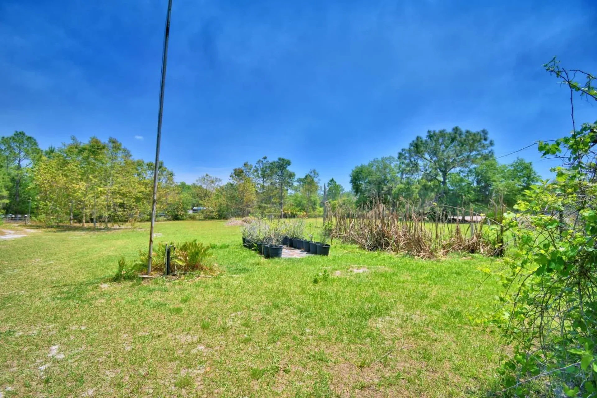 760 Mcclellan Road Frostproof FL 33843