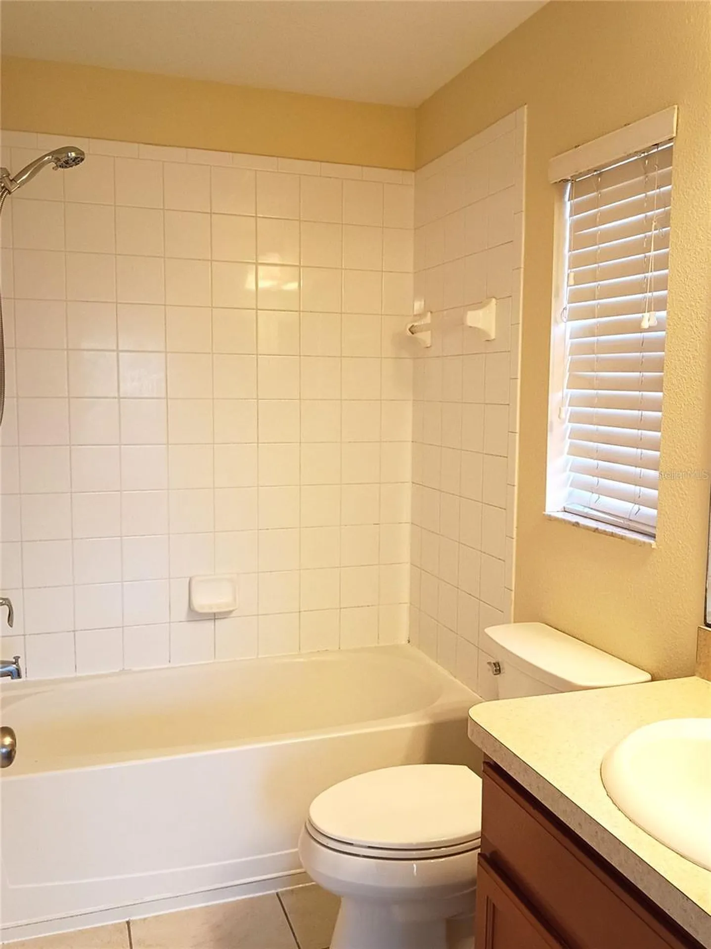 4239 Winding Vine Drive Lakeland FL 33812